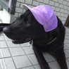 やまとのかぁちゃんさん