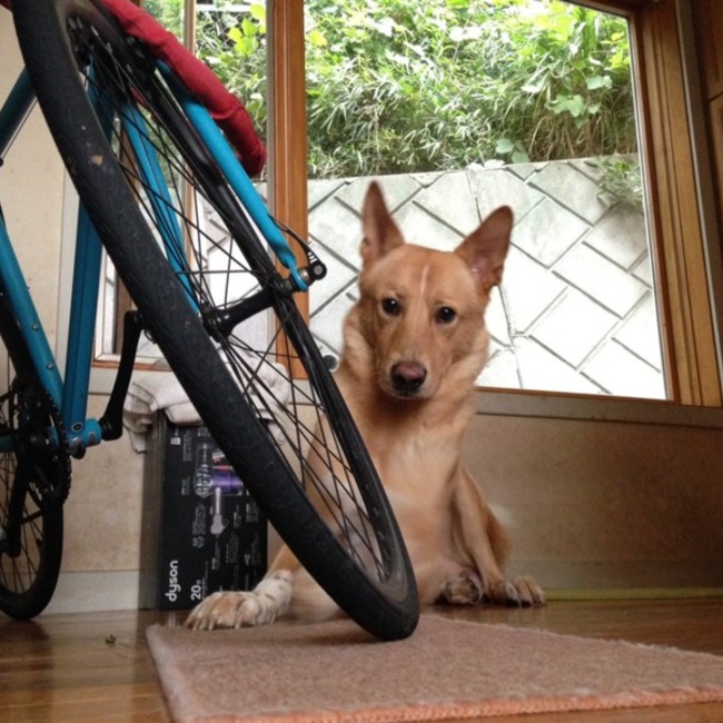 MUDのカバー写真