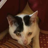 ここ