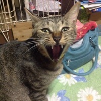 くるくる