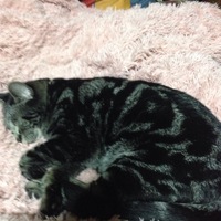 ミルク