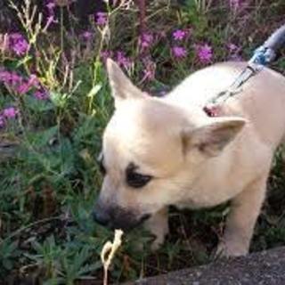 家族が出来ました♡