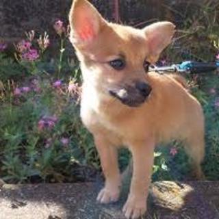 ありがとうございました。