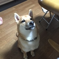 欣汰朗