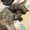 眩しいよ〜〜