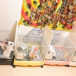 今日は里親  主様が来てくれました//