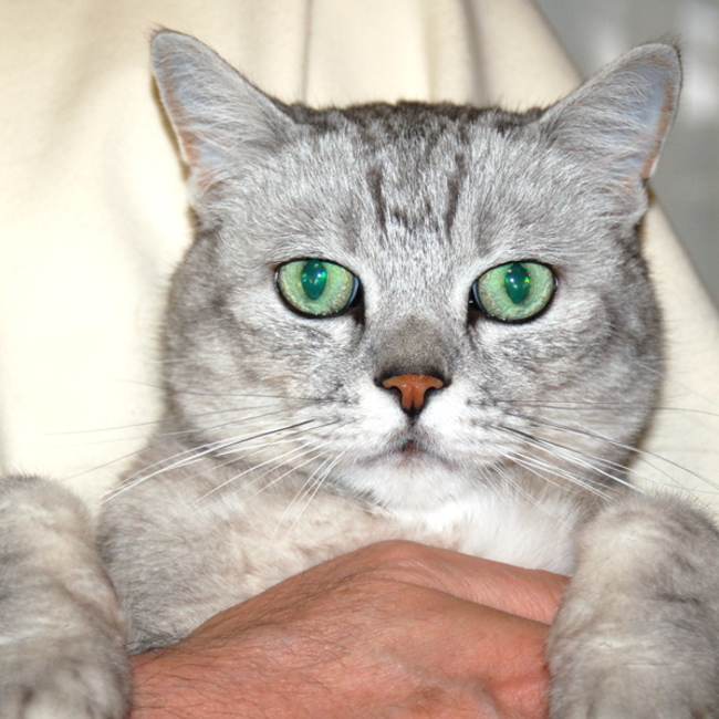 sabayamakunのカバー写真