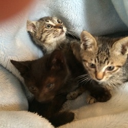 10日が経ちました