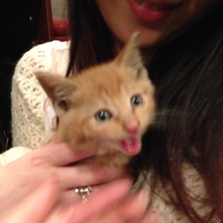 捨てられてました！