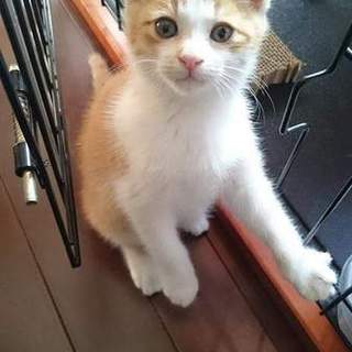 人慣れ抜群なサンゴ君