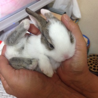 初めて産まれました！