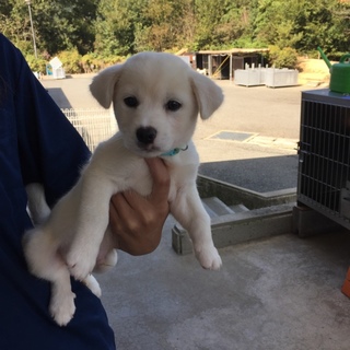 可愛い♪ピーターくん2ヶ月です