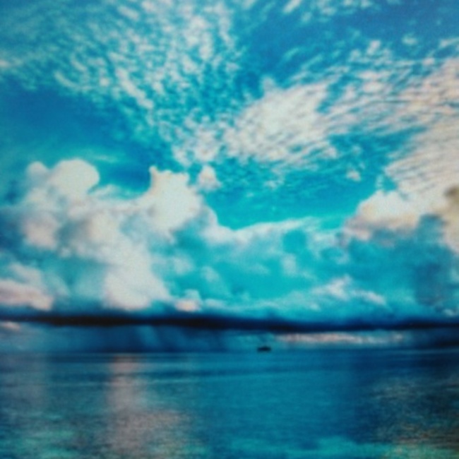 ホワイトポークのカバー写真