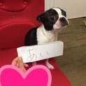 お問い合わせ多数いただいております。