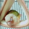 の写真