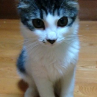 ツンデレ女子！ツンもデレもかなり激しいです！(笑)