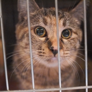 天真爛漫♪ゴロゴロガール♪みずほちゃん