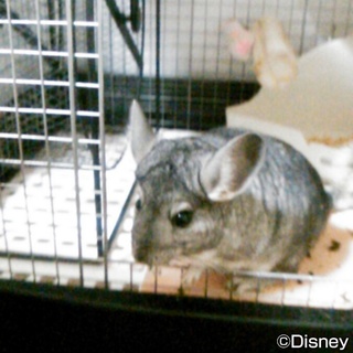 現在交渉中です。募集一時停止中です。