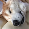 さな0120 さん