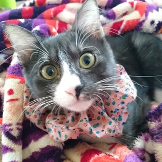 ★スモーキーなかわいこちゃんとお幸せに★