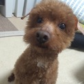 元気いっぱいな男の子です