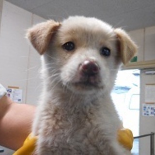 家族が出来ました♡