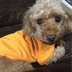 手術終わりました