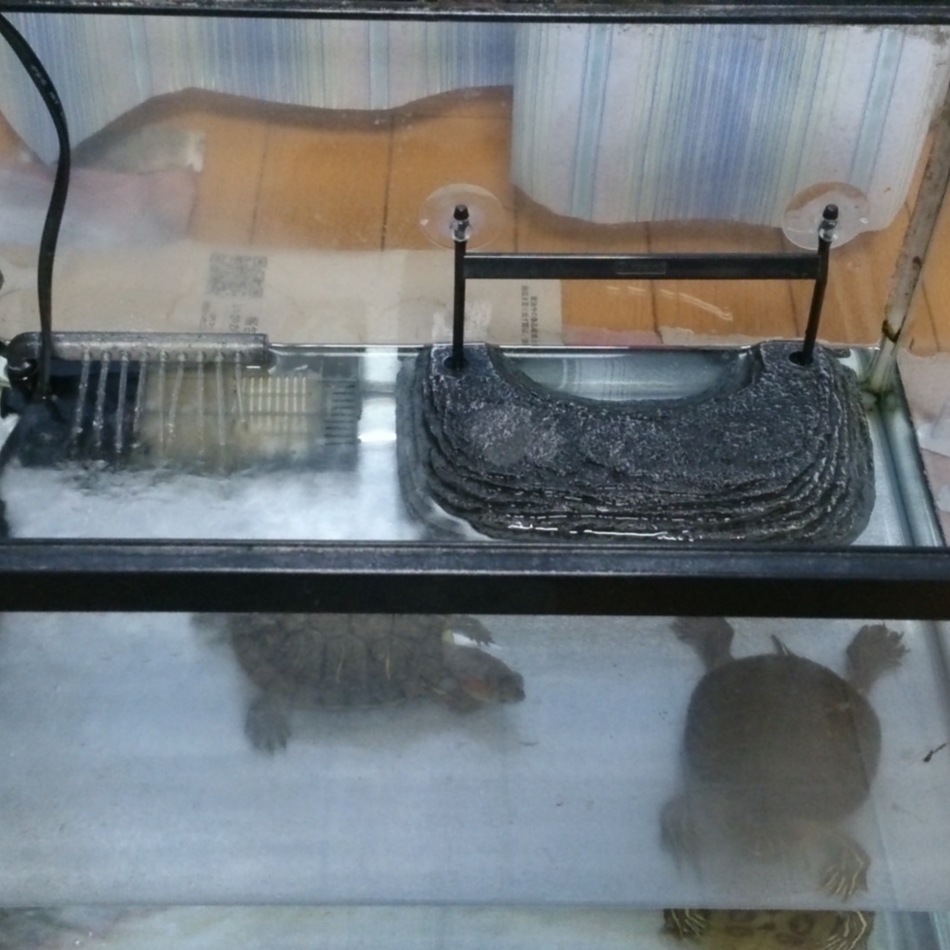 おカメさんのカバー写真