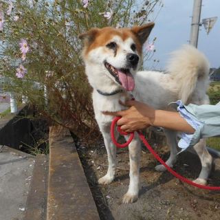 家族で来たよ！！