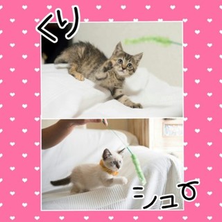 優しいパパママに逢いたいにぁ❤