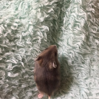 探しています！