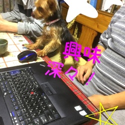 「保護犬ランカ 5歳だけど、中身は赤ちゃんと同じ！」サムネイル2