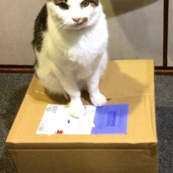 そこに箱があるから！