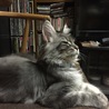 眠いのォォォ！