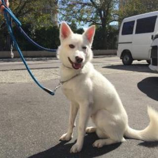 真っ白イケメン　男の子