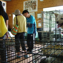 セブンデイズ譲渡会