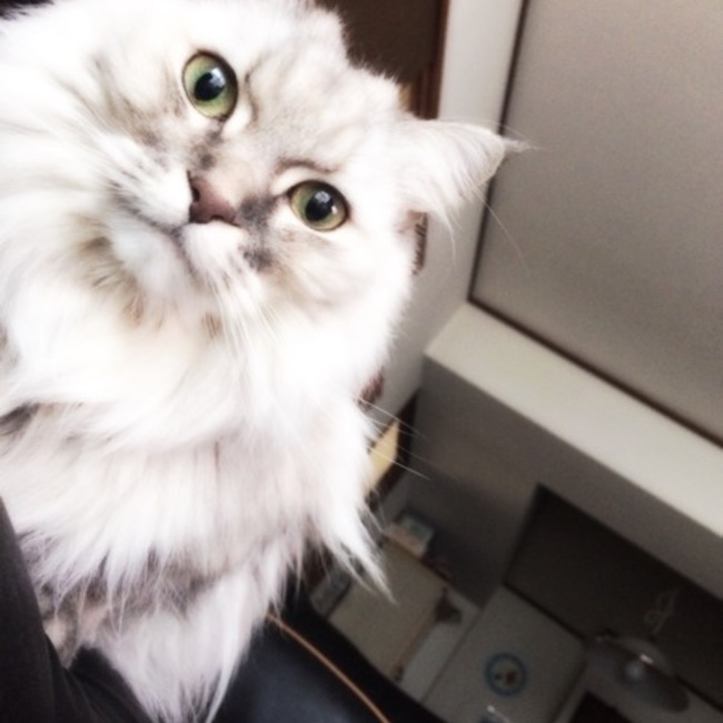 bisco5757のカバー写真