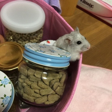 の写真