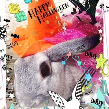 ハロウィン