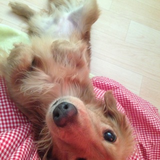 沢山の応募ありがとうございますm(._.)m