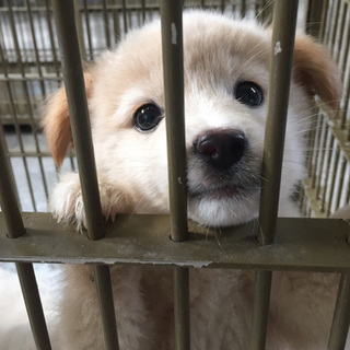 ありがとうございました！