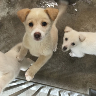 家族が出来ました！