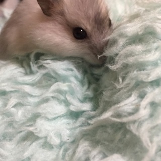 ありがとうございました！