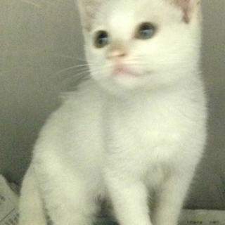 救える命があります。