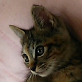 甘え上手❤ローズちゃん