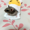 ぽんたろつ さん