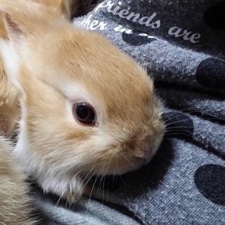 ありがとうございました。