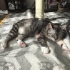 気持ちええ天気や。