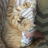 幸せのお裾分け