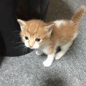 生涯可愛がって下さる方